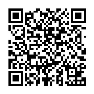 些微的价格变动传递到他们身上的时候就变成了巨大的生存压力二维码生成