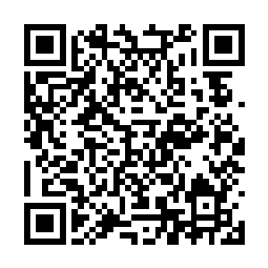 亡灵主神被南宫流云这一招震惊的有些精神错乱了二维码生成