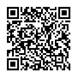 亡灵法师只能够控制比自己的修为低一个等级的亡灵生物二维码生成