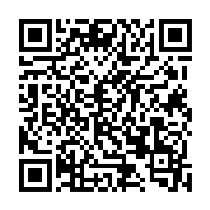 亡者世界的君主们和天界古神选择了同样的绝对中立立场二维码生成