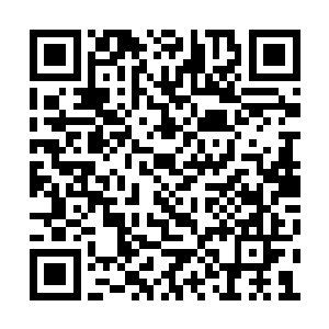 亡者君主似乎就是亡者世界君王在费南的代言人二维码生成