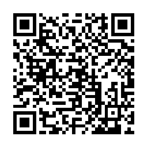 交代了北狐芸等姑娘由即墨光如和即墨莹同往决赛的仙域的事后二维码生成