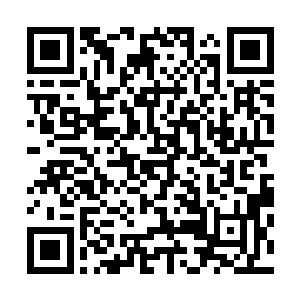 交响乐和歌剧院所奏响的乐符在天使之城的血液里缓缓流淌二维码生成