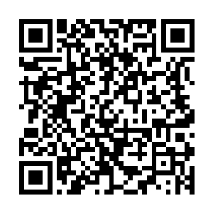 交战双方的修士霎时间就有无数的修士被轰击得向着海面坠落二维码生成