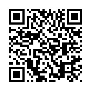 交警部门在市区所有关卡设点盘查二维码生成