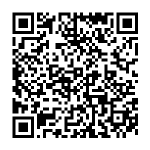 交谈之下我了解到老韩正式职业是这附近村屯里专门收山货的那个人二维码生成