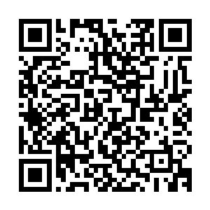 亦或是那一夜在宾馆里某种感触打破了自己内心尘封多年的安宁二维码生成