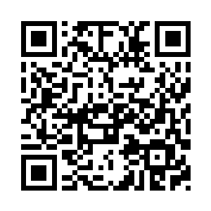 亦或是那日在桃花树下冲你微笑的是我二维码生成