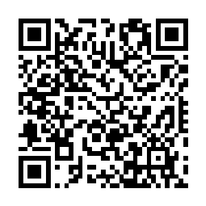 亦或者分布在肌肉上骨骼上脏腑上的星辰之力和永恒之力二维码生成