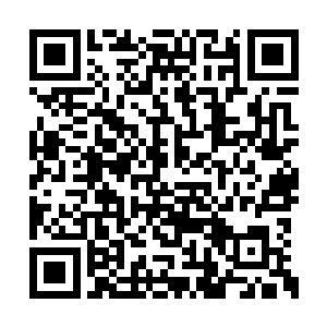 亦或者别的什么作为补偿丑道友虚灵受伤的赔付二维码生成