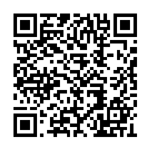 亦或者是兴奋着他此时此刻站在历史的十字路口二维码生成