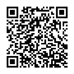 亦或者说他们如同万年前乃至于百万年前的天骄那般二维码生成
