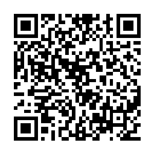 亦是在通天城的所有防御力量中掀起了惊天狂澜二维码生成