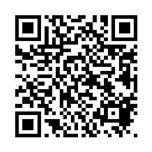 亦是拳神殿在北方最重要的据点之一二维码生成