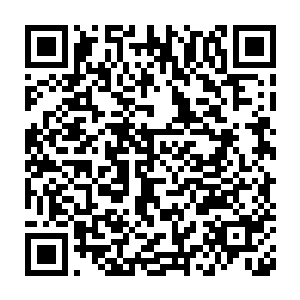 享受人们的崇拜的目光和掌声与尖叫声……他应该出现的地方很多二维码生成