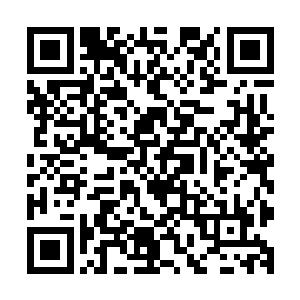 京城不知道多少家都想着日后怎么把他们两个人给收入到囊中二维码生成