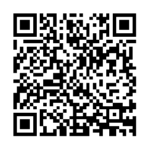 京城所有在铁艺方面有所建树的能工巧匠一夜之间尽数消失了二维码生成