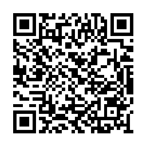 京城来的这些孩子可以说是完完整整的被教育了二维码生成