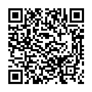 京城每年重五时节的赛舟大会便会有连家人亲自到场主持二维码生成