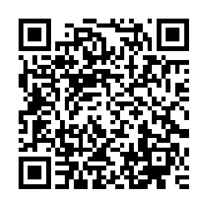 京城许多跟着张夫人康氏卖粮的人家现在都后悔的肠子都青了二维码生成