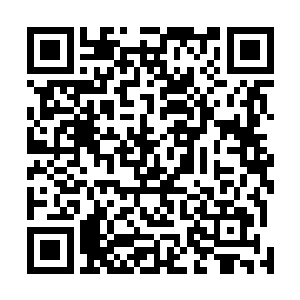 京城贵族医院成立的当天就卖出了十多张一百万的挂号票二维码生成