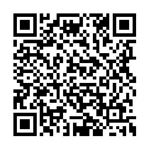 京城这几大家族就只有叶家没有宗师境界的高手二维码生成
