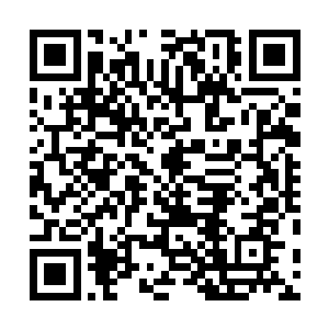 京城里几乎没有不知道崔家大夫人的独生儿子病得非常重二维码生成