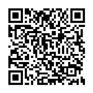 京西制药总厂精选的大肘子每个都在四斤半以上二维码生成