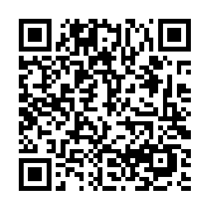 京都的贵妇们都收到了太子妃举办的赏花宴的邀请帖二维码生成