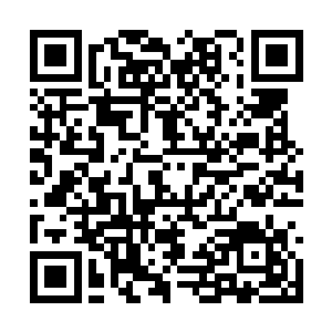 亮眼的数据让雨果真正拥有了一部票房大卖的作品二维码生成