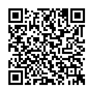 亲手将吴东风带到杨瑞面前的商砼车司机王道之二维码生成