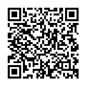 亲手把那个会用热烈眼神看向他的女子给推向万劫不复之地呢二维码生成