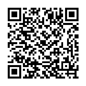 亲昵的围在欢喜哥的身边不断摇动着巨大的尾巴二维码生成