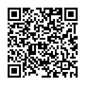 亲眼看着自己的四个兄弟拼出老命为自己创造机会二维码生成