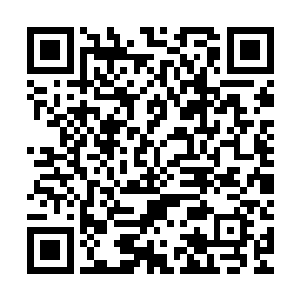 亲自从全世界各个分部与高等院校选来的各种经济领域精算师和二维码生成