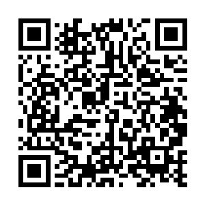 亲自去医务科撒了个谎才把她从漫长的受训中解救出来二维码生成