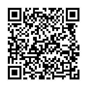 亲自带领北斗剑宗的队伍前去参加暗星神殿的招收弟子比试二维码生成