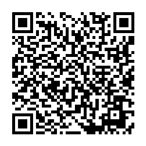 亲自经历过塞尔内斯战役的张铁非常明白这种小型的白磷凝胶弹意味着什么二维码生成