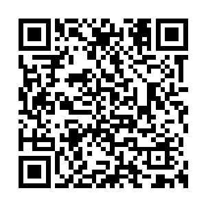 亲身体会到鬼龙迷踪步和鬼龙无影身的玄妙莫测二维码生成