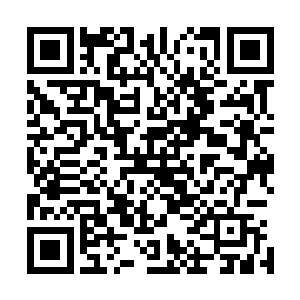 人世间最痛苦的事莫过于自相残杀 而此时 似乎就要上演二维码生成