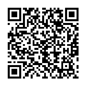 人人心下全都是充满了报复的快意还有为战友雪恨的欢愉二维码生成