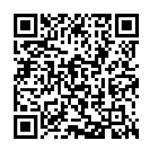 人人都知道从前的凤府跟郡主府是连在一块儿的二维码生成