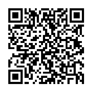 人们关心的就是如何在这个残酷的世界上生存下去了二维码生成