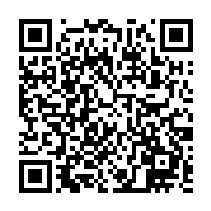 人们对于红地毯的炙热讨论就已经无法遏制地上扬了起来二维码生成