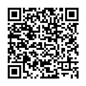 人们对于雨果的票房拉动能力不仅没有任何的疑问二维码生成