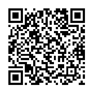 人们想必对避难所内实施高压管理也不会有太多怨言二维码生成