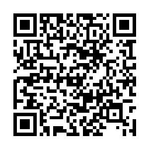 人们签署投标合同的速度并不慢――只是投标而已二维码生成