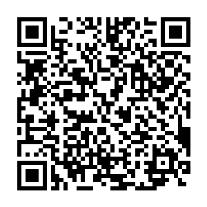 人们都好奇顶尖的绝世天才与所谓的万古妖孽之间的差距到底如何二维码生成