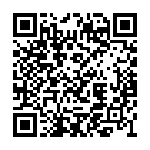 人们都开始拼命的向那第七条路的大门狂奔而去二维码生成