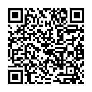 人体基因组计划越来越可能实现的远景是一颗硕大的胡萝卜二维码生成